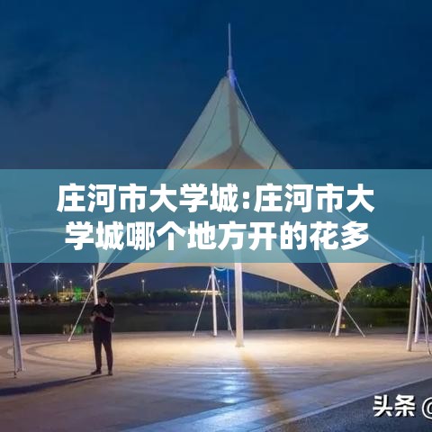 庄河市大学城:庄河市大学城哪个地方开的花多 庄河市大学城:庄河市大学城哪个地方开的花多