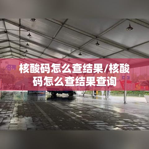 核酸码怎么查结果/核酸码怎么查结果查询 核酸码怎么查结果/核酸码怎么查结果查询